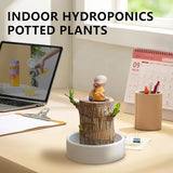 Brazilian Lucky Wood Plant | Vastu + Air Purifier