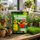 All Season Evergreen Grass Seeds (Buy 1 Get 1 Free)