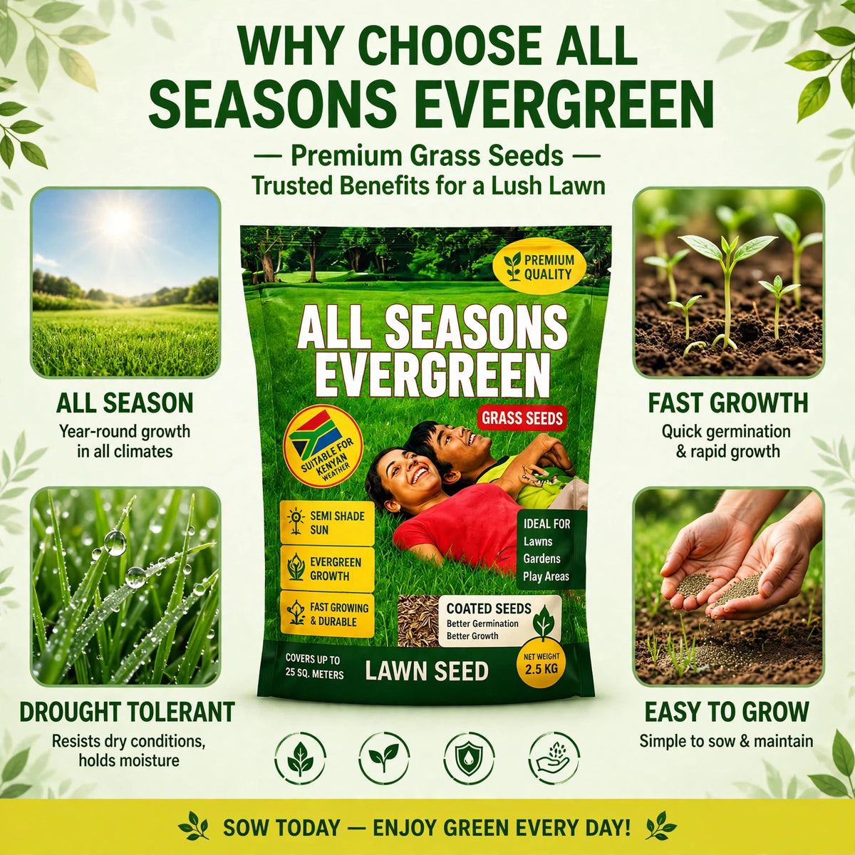 All Season Evergreen Grass Seeds (Buy 1 Get 1 Free)