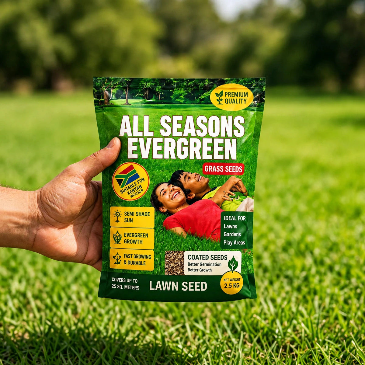 All Season Evergreen Grass Seeds (Buy 1 Get 1 Free)