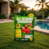 All Season Evergreen Grass Seeds (Buy 1 Get 1 Free)